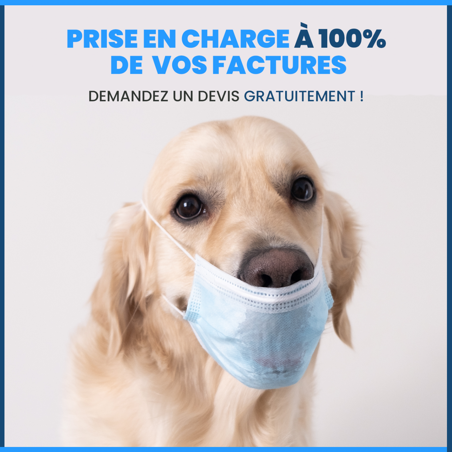 Création YACLA pour du lead assurance animaux